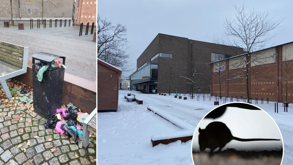 Invånare i Munktellområdet i Eskilstuna hyser farhågor om att överfulla sopkorgar ska dra till sig en strid ström av råttor.