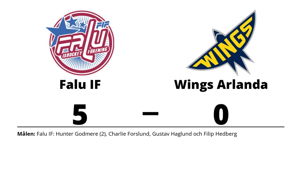 Falu IF vann mot Wings HC Arlanda