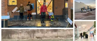 Nyheterna från Västervik som blev mest lästa i Västervik 2023