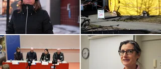 Vårddirektören för exakt ett år sedan: "Vi är väl förberedda"