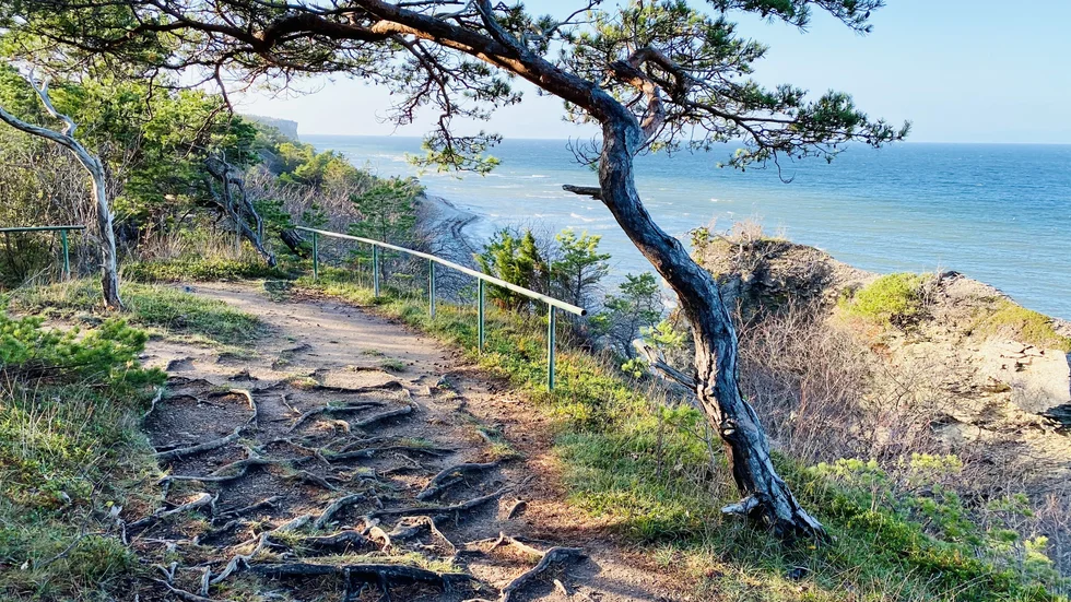 Det blir en hel del sol på Gotland i helgen.