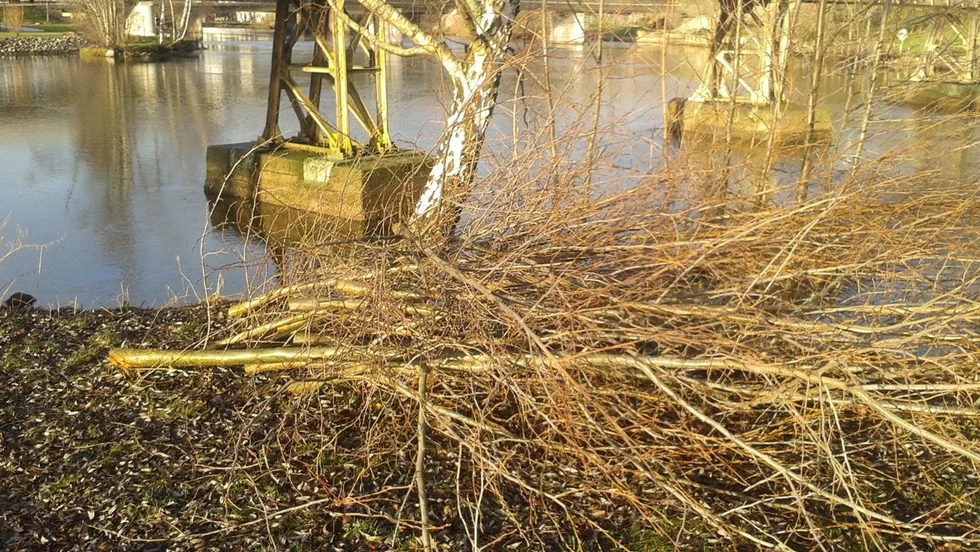 "Mänskligheten måste snabbt börja leva med naturen och vara en del i den" skriver insändarskribenten.