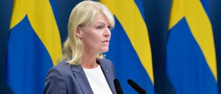 Sverige samlar stöd mot EU-protektionism
