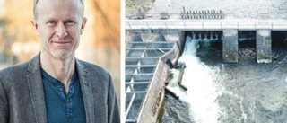 Satsar 30 miljoner – ska rädda fiskarnas vandring