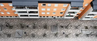 Hur länge ska vi dras med Erlanders problem?