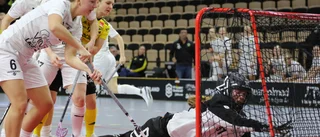 Endre nötte planenligt ner bottenlaget 