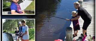 Fiske i Lulsundskanalen: "Här finns gädda, abborre och öring"