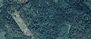 Ägarbyte för skogsmarken på Ruda Maren i Mörlunda