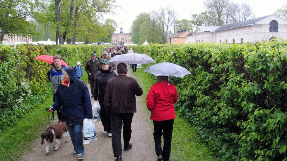 Besökare på Swedish game fairs jakt- och friluftsmässa på Tullgarn. Bilden är från 2019. Runt 25 000 personer brukar närvara på mässan. 