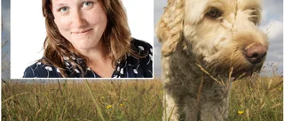 Jenny Persson: "Vi hundägare är de värsta folk vet"