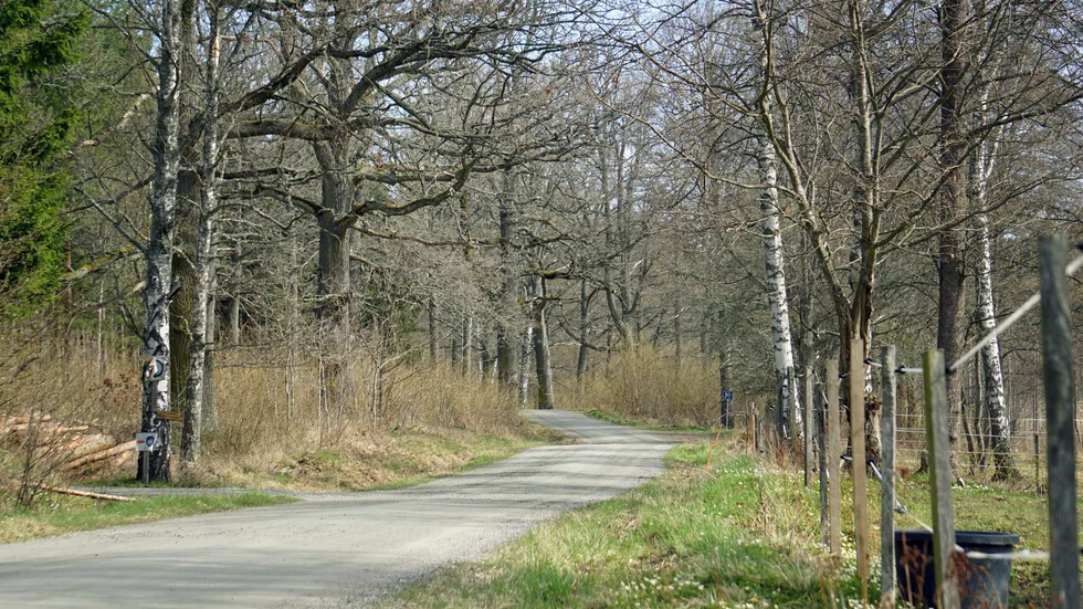En fritidshusägare i Gäddeglo, i närheten av Marsbäcken, upptäckte på fredagen att någon brutit sig in i stugan.