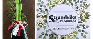 Amaryllis arrangemang med kruka