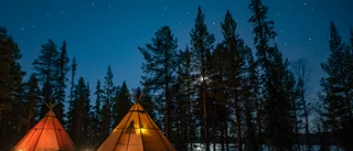 Ser företag knäckas - räknar med vändning nästa höst