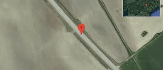 Djur på vägen på väg 52