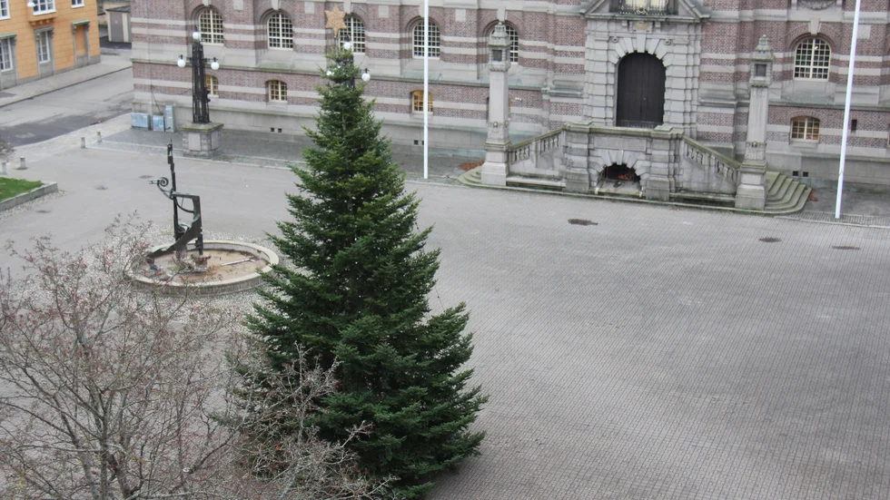 Det har blivit allt svårare att hitta julgranar för de offentliga juldekorationerna. Nu söker kommunen hjälp.