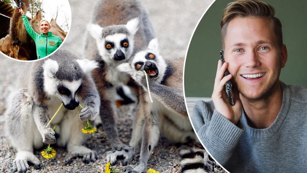 Viktor Frisks nystartade företag Reach media groups första kunduppdrag blir att sköta Parken zoos sociala medier och digitala marknadsföring under 2021. På bild även Parken zoos vd Sofia Larsson.