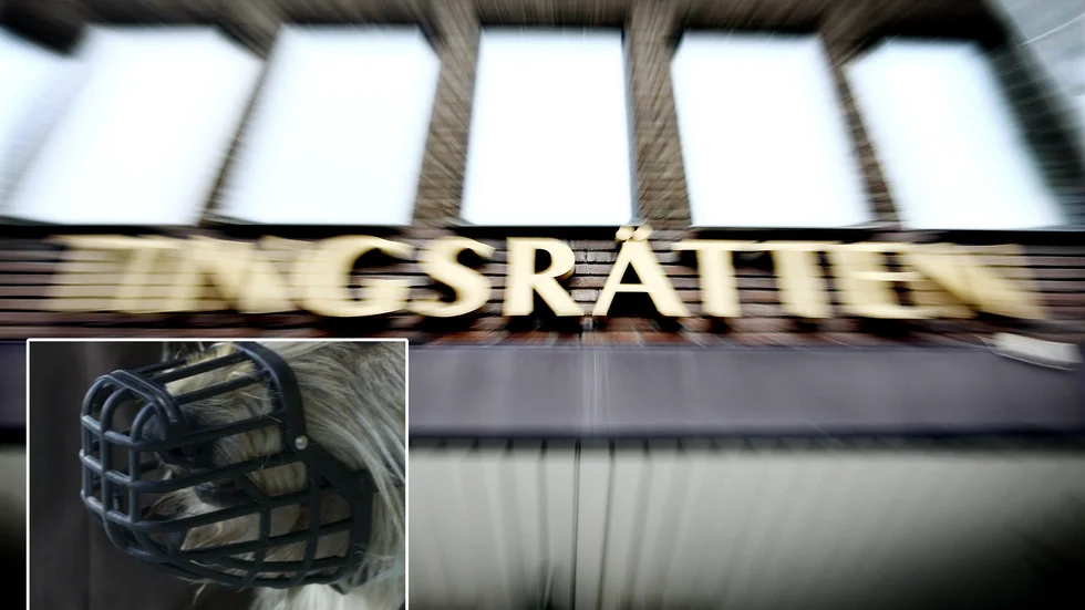 Eskilstuna tingsrätt fällde hundägare för brott mot lagen om tillsyn över katter och hundar. Hunden på bilden har inte med det aktuella fallet att göra. 