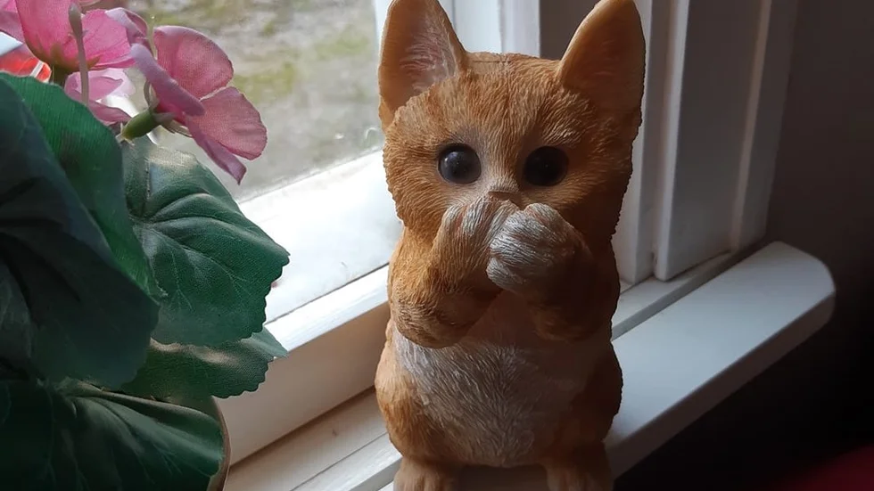 Kyrkstugeägarna i Öjebyn har placerat ut katter av olika slag i sina fönster så att barn och vuxna kan räkna dem.