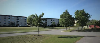 Stadsdelsbussarna kör efter resenärernas behov