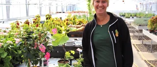 Intresset för trädgård och odling har blomstrat