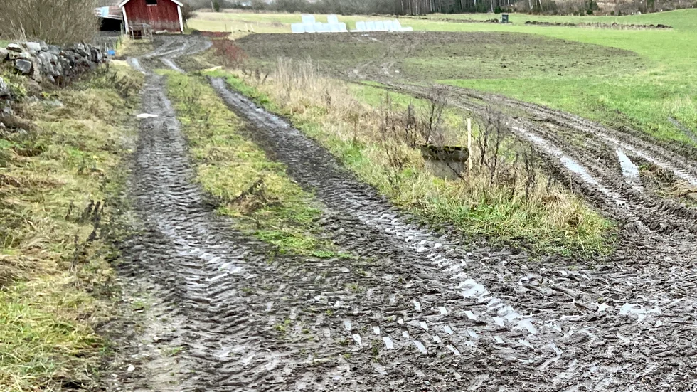 I slutet av den leriga vägen ligger den lilla Fäbosjön, där en kropp hittades på onsdagen. Polisens teori är att det handlar om försvunna Ann-Margrets kvarlevor.