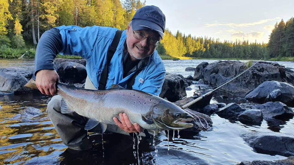 Laxens återkomst till Råneälven är mycket glädjande.