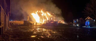 Boende och kor utrymdes efter gårdsbrand