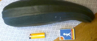 Bilden                               