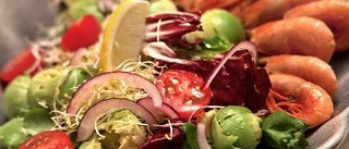Räksallad med röksmak 