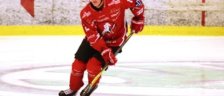 SHL-meriterad spelare klar för VIK