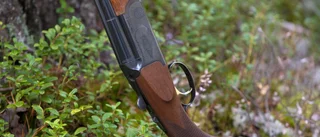 Kvinna misstänkt för vapenbrott