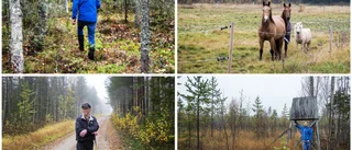 Följ med på upptäcktsfärd: Appen leder oss till Luleås okända platser