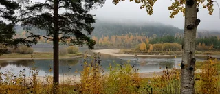 Bildextra: Läsarnas egna bilder 