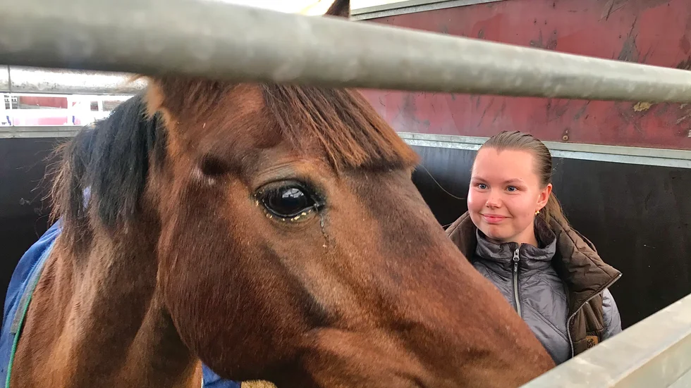 Hanna Borrman berättar att vattnet som hästarna får i boxarna hinner frysa innan de hinner dricka upp det. Bilden är från i höstas.