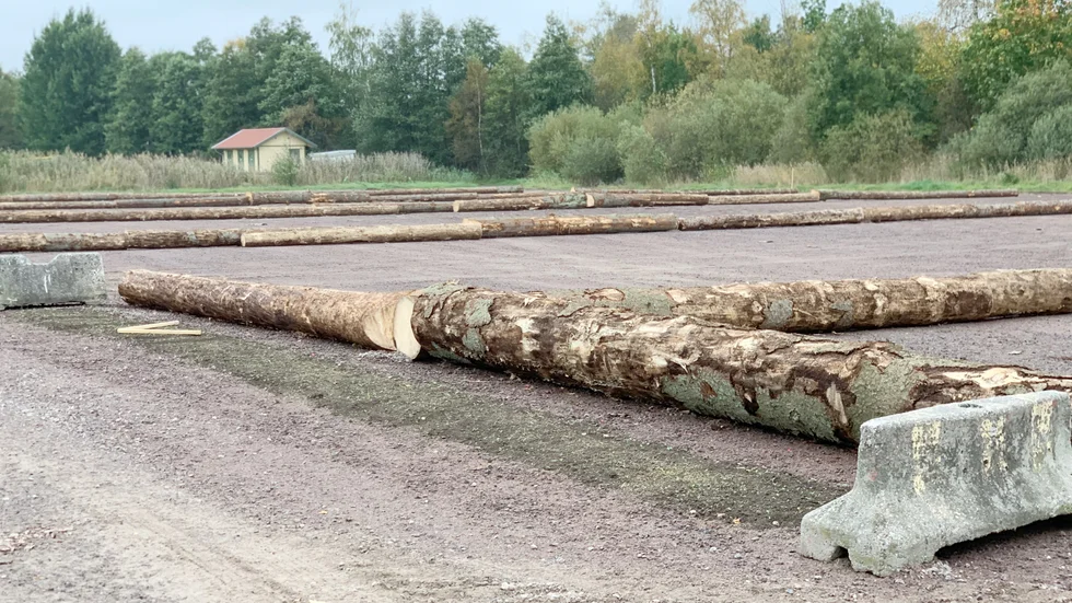 Mellan alla infarter har man sått gräs. 
