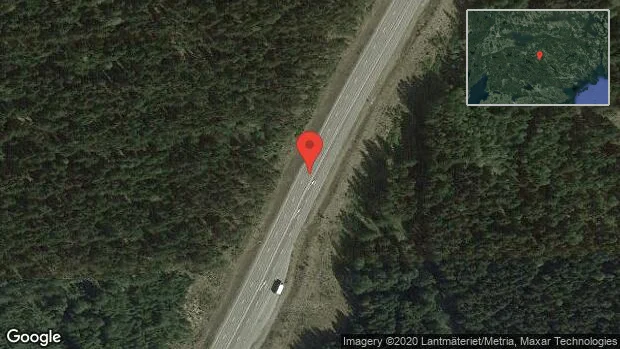 Rådjur på vägen på väg 55