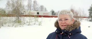 Fortsatt kamp mot buller vid Bergsviksbron – överklagan skickad: "Jag ger mig inte"