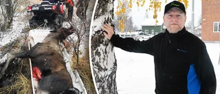 Fräck älgstöld i Norsjö: ”Hakan föll ner i backen”