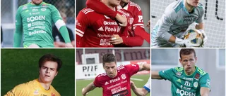 Norrbottnisk dominans i nomineringen till årets spelare