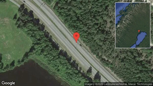Älgar på vägen på väg 595