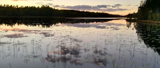 Kvällsljus vid Hundsjön        