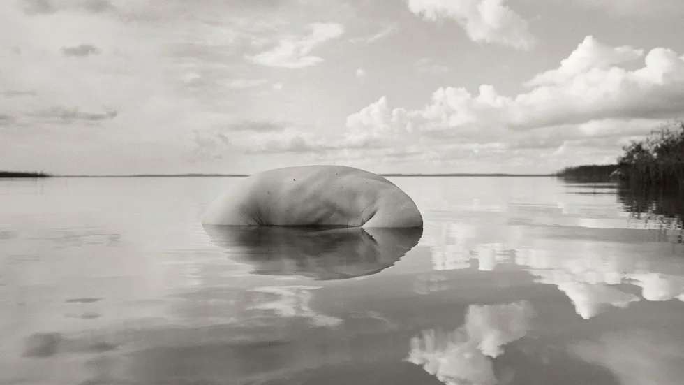 "Oujujärvi afternoon", av den finländske fotografen Arno Rafael Minkkinen. I år firar han 50 år som konstnär, vilket uppmärksammas med utställningen "Two hundred seasons" på Fotografiska i Stockholm. Pressbild.