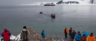 Norge förbjuder kryssningar till Svalbard