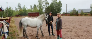 Tungt beslut för hästsällskap efter medlemskris