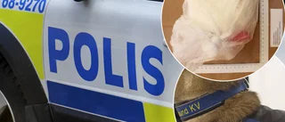 Polisens chansning gick hem: "Ren och skär glädje"