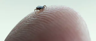 Ett virus utesluter inte ett annat