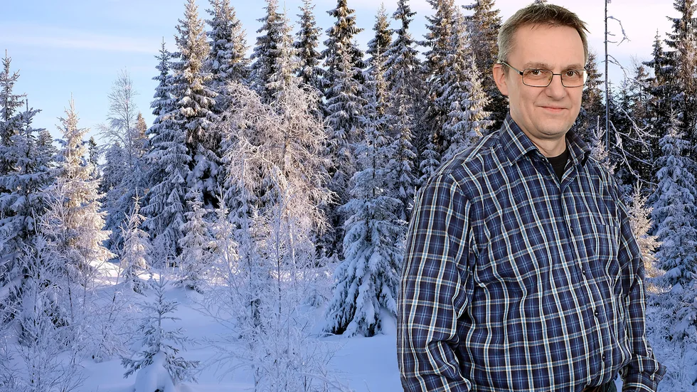 Krönikören skriver om älgjakt