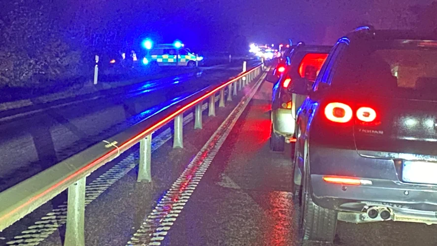 Viltolyckan orsakade tillfälligt stopp i trafiken på väg 23/34 utanför Linköping.