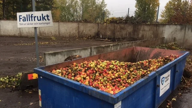Insamlingen av fallfrukt, Tekniska verken, Linköping 