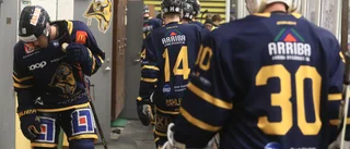 Covid-19 i Visby Roma - verksamheten pausas